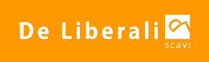 Logo dell'azienda DeLiberali